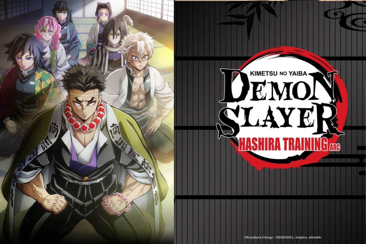Demon Slayer: Hashira Training